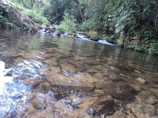 Nascente de córrego protegida