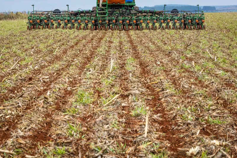 A pedido da Agrodefesa, Ministério da Agricultura e Pecuária concedeu mais 10 dias no calendário da safra de soja 2023/2024 no estado