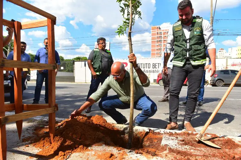 Prefeito Rogério lança 3ª etapa do “Rearboriza Goiânia” no Centro, dentro do Programa Centraliza, com plantio de 170 mudas nas avenidas Tocantins e Araguaia | Fotos: Jucimar de Sousa