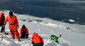 Fungo azul da Antártica estudado para busca de medicamento contra dengue