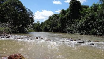 Alto Paraíso ganha mais 539 hectares de reservas ambientais