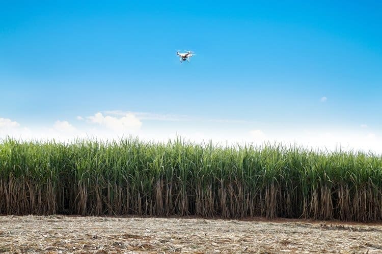 Drone utilizado na fiscalização de incêndios em canavial da Cooper-Rubi