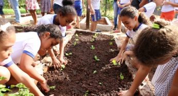 Educação distribuirá mais de 5 mil mudas de hortaliças para alunos da rede municipal