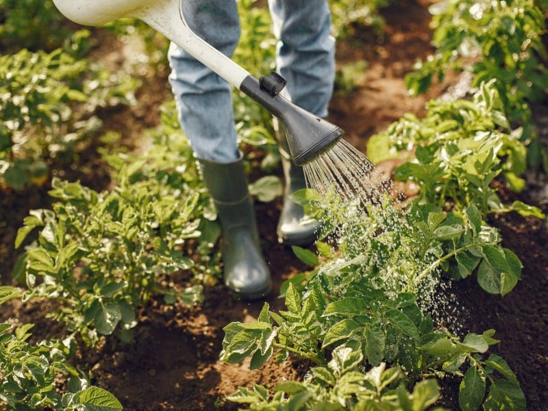 Agricultura Familiar
