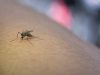 Goiás recebe doses da vacina contra dengue e define estratégias de vacinação