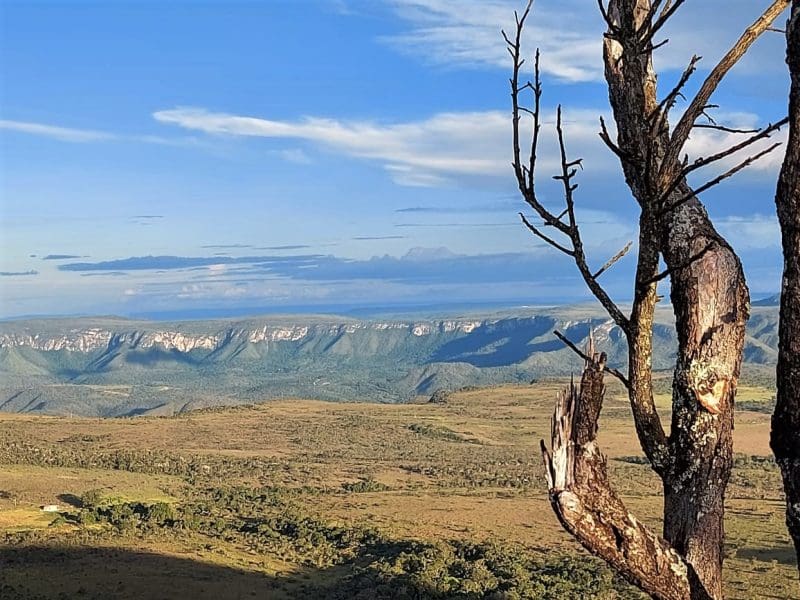 Cerrado-goiano-oferece-belas-trilhas-na-regiao-da-Chapada_Fernanda-Carasilo