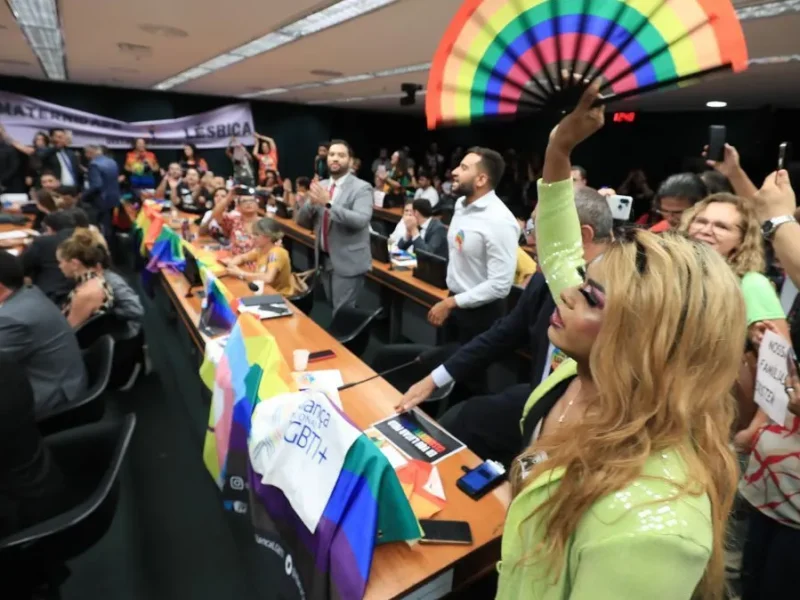 casamento homoafetivo