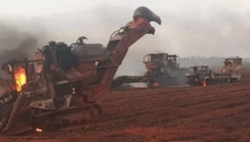 incendio canavial são simão