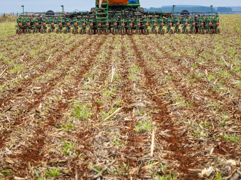 A pedido da Agrodefesa, Ministério da Agricultura e Pecuária concedeu mais 10 dias no calendário da safra de soja 2023/2024 no estado