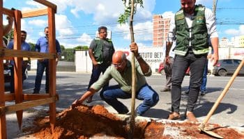 Prefeito Rogério lança 3ª etapa do “Rearboriza Goiânia” no Centro, dentro do Programa Centraliza, com plantio de 170 mudas nas avenidas Tocantins e Araguaia | Fotos: Jucimar de Sousa