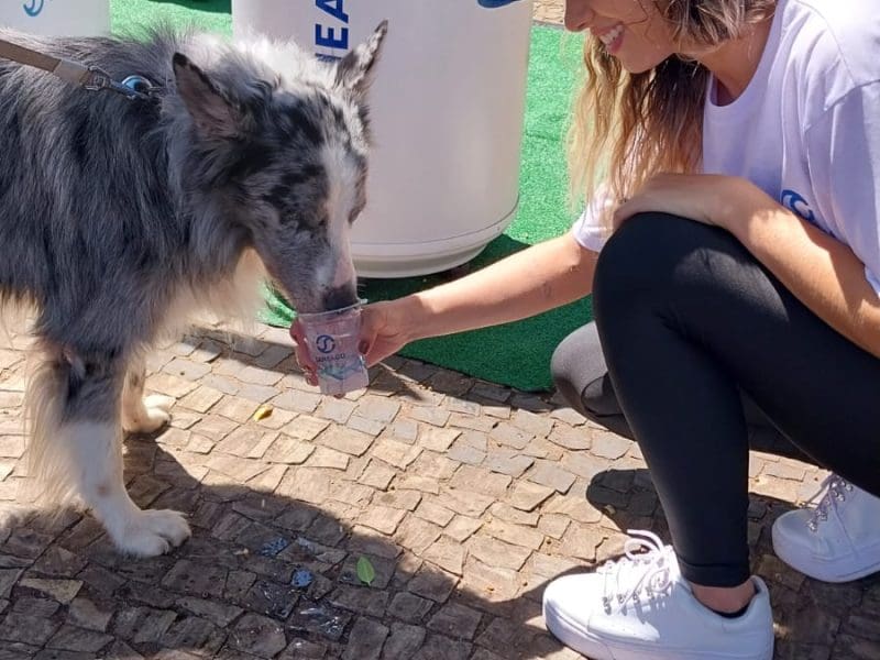 Estande da Saneago, na Praça Cívica, oferece água tratada a pessoas e pets