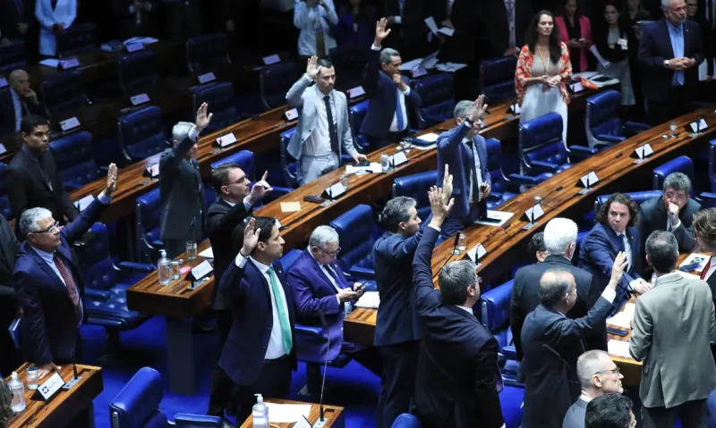 O projeto foi aprovado com uma emenda que prevê taxação de produtos importados até 50 doláres, que foi incluída na Câmara dos Deputados após mudanças no conteúdo.