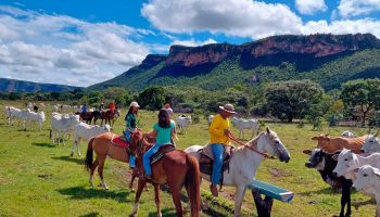 Nova Lei Geral do Turismo deve impulsionar setor em Goiás