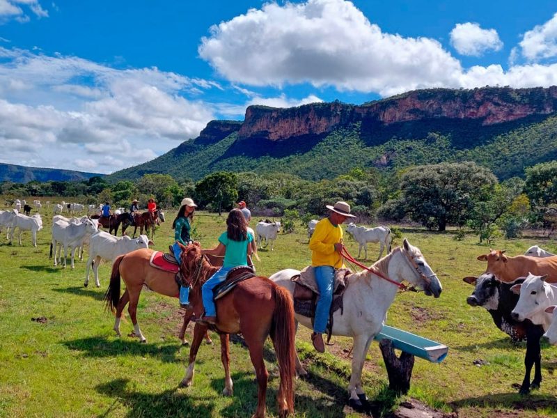 Nova Lei Geral do Turismo deve impulsionar setor em Goiás