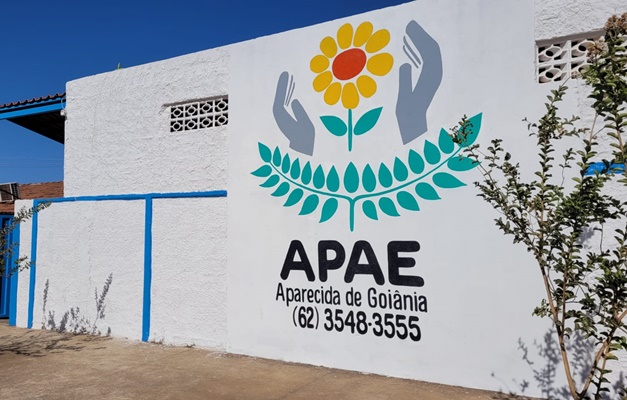 Apae de Aparecida de Goiânia realiza feijoada e bazar beneficentes neste sábado (19)