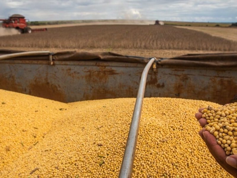 Goiás alcança superávit de US$ 5,4 bilhões na balança comercial