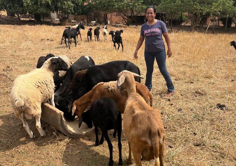 Somente em 2024, o Estado atendeu 910 famílias de pequenos produtores, indígenas, quilombolas e extrativistas, por meio do Programa Fomento Rural; iniciativa destina até R$ 4,6 mil para cada família