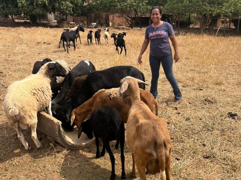 Somente em 2024, o Estado atendeu 910 famílias de pequenos produtores, indígenas, quilombolas e extrativistas, por meio do Programa Fomento Rural; iniciativa destina até R$ 4,6 mil para cada família