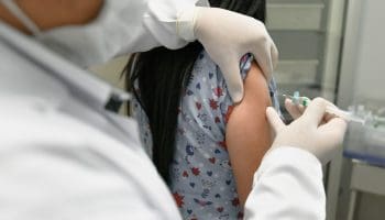 Organização Mundial da Saúde alerta para casos e óbitos por febre amarela no Brasil