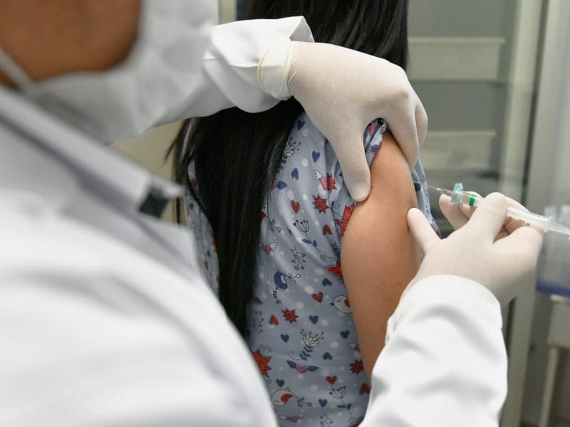 Organização Mundial da Saúde alerta para casos e óbitos por febre amarela no Brasil