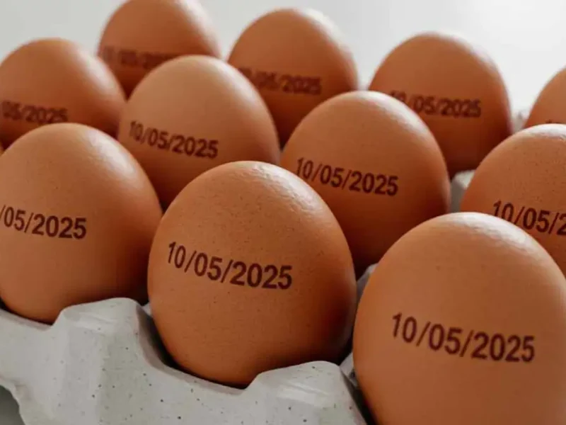 Agricultura suspende determinação de carimbar data de validade em ovos