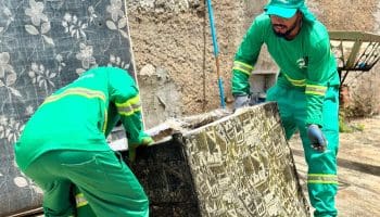 Cata-treco volta a atender sociedade em Goiânia