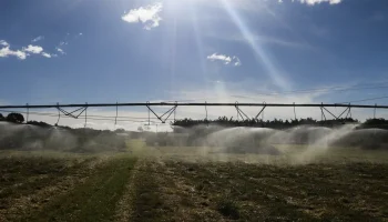 Governo publica MP com crédito extraordinário de R$ 4 bi a Plano Safra