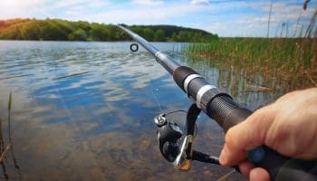 Começa o período de pesca autorizada por lei em Goiás