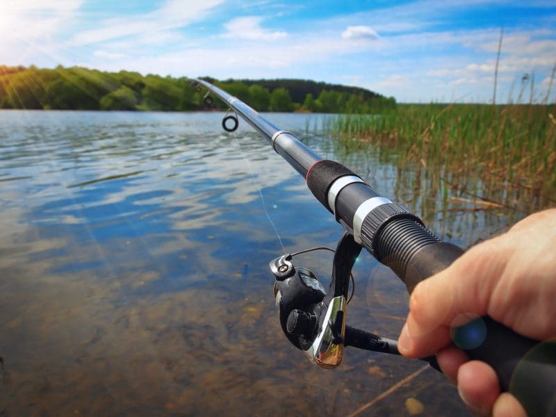 Começa o período de pesca autorizada por lei em Goiás
