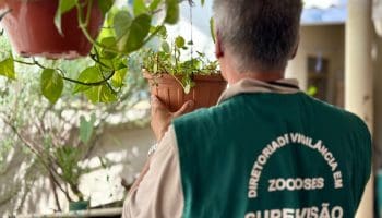 Goiânia tem 5,7 mil casos confirmados de dengue