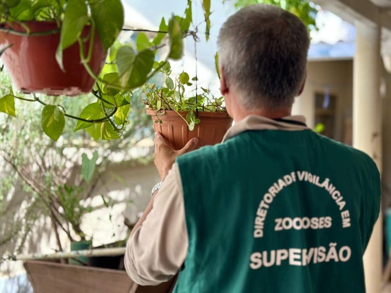 Goiânia tem 5,7 mil casos confirmados de dengue