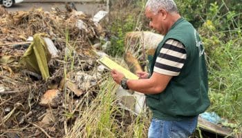 Prefeitura de Goiânia intensifica vistorias em lotes baldios para combater escorpiões