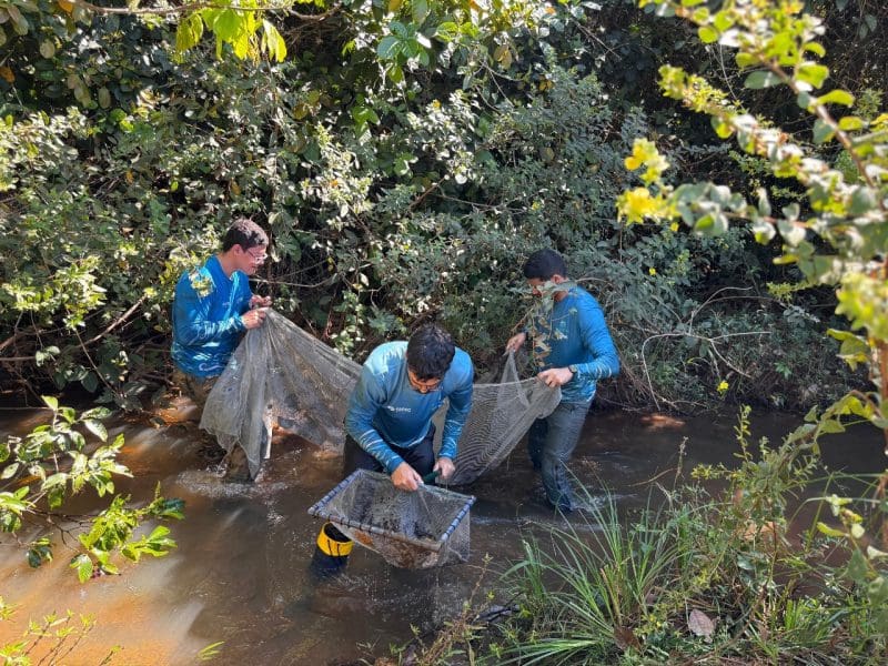 Conservação do bioma cerrado recebe investimento de R$ 34 milhões