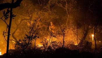 Governo de Goiás investe R$ 1 milhão na prevenção de incêndios no Cerrado