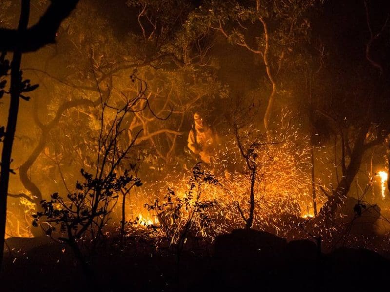 Governo de Goiás investe R$ 1 milhão na prevenção de incêndios no Cerrado