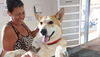 Tutores e donos de animais domésticos tem acesso a atendimento gratuito