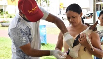 Vacinação itinerante contra a raiva em cães e gatos começa em Aparecida