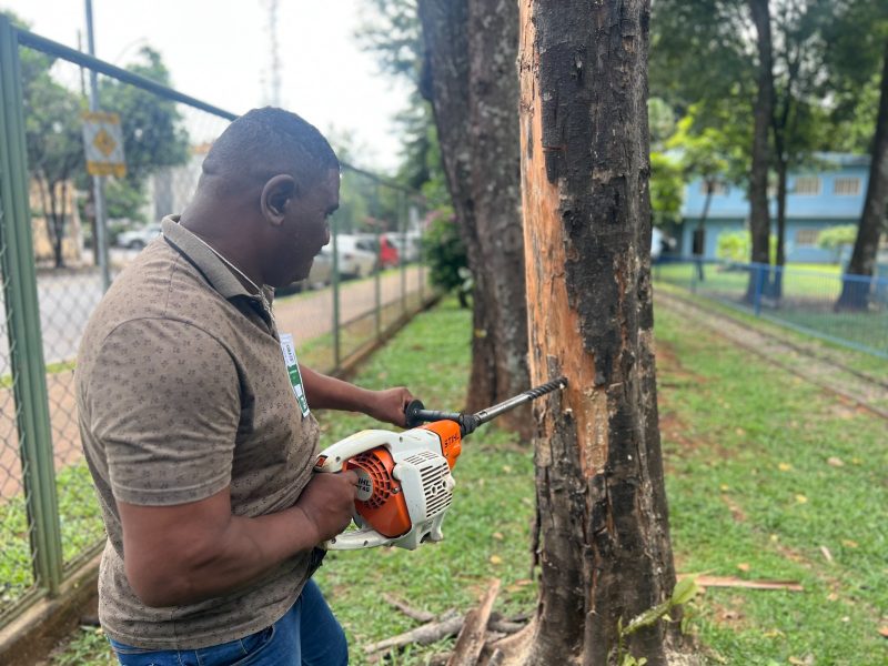 Árvores de Goiânia terão nova metodologia de diagnostico de saúde