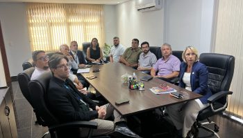 Equatorial é cobrada para organizar poda de árvores em Goiânia