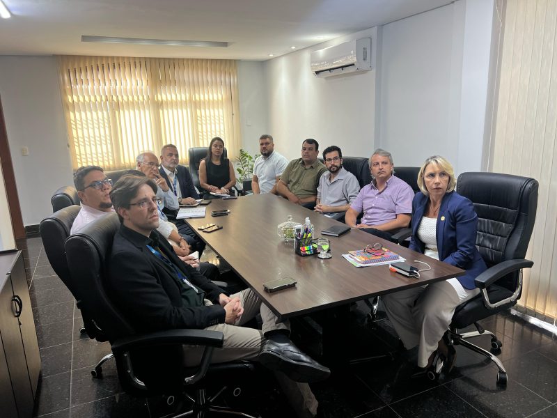 Equatorial é cobrada para organizar poda de árvores em Goiânia