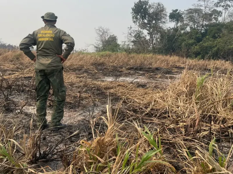 Brasil reduz 70% da área queimada no primeiro trimestre de 2025