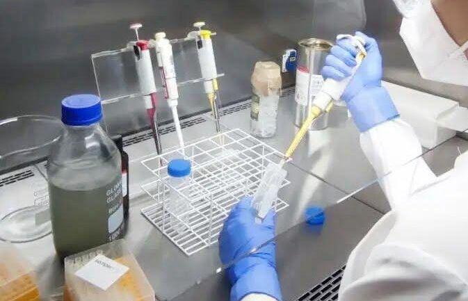 Governo lança Centro de Inovação e editais para impulsionar pesquisas em saúde