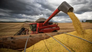 Após primeiras colheitas, Conab confirma estimativa de safra recorde