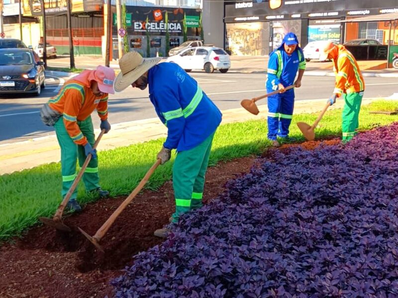 Avenida Goiás e 22 praças da capital passam por paisagismo