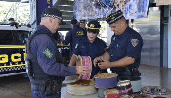 Prefeitura de Goiânia lança 17ª Campanha Pipa Sem Cerol