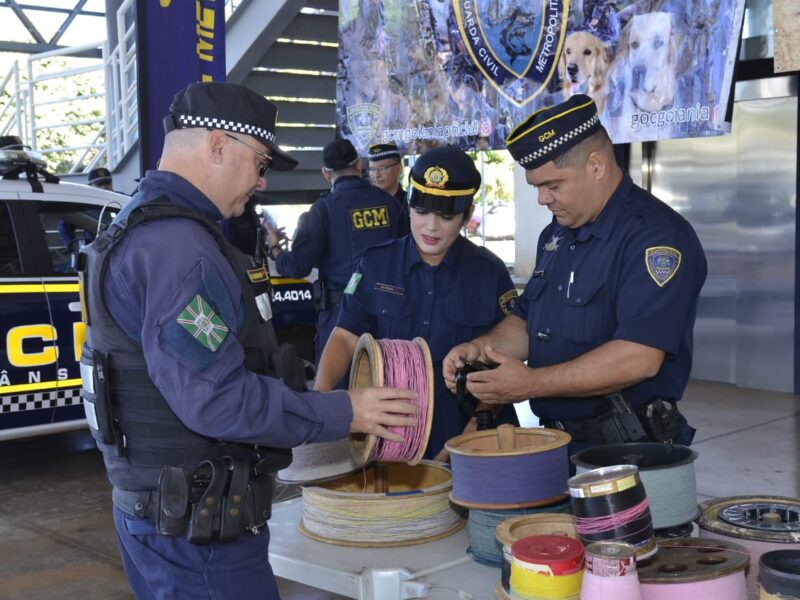 Prefeitura de Goiânia lança 17ª Campanha Pipa Sem Cerol