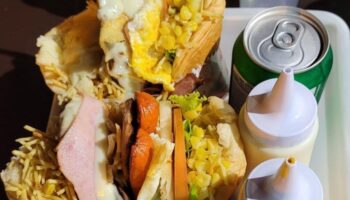 Prefeitura divulga cartilha para Pit-dogs em Goiânia