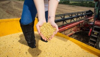 PIB de Goiás cresce 7,7% no primeiro trimestre de 2025