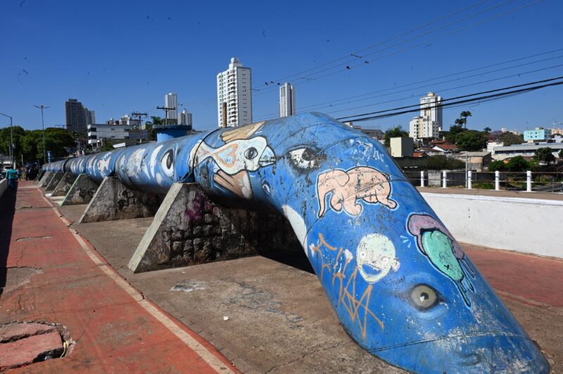 Pessoas em situação de rua são retiradas da Rua 10