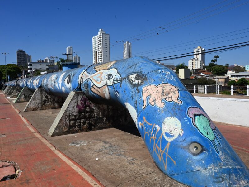 Pessoas em situação de rua são retiradas da Rua 10